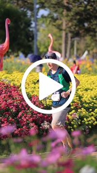 BIB:  <button type="button" onclick="openModal(27588594)" class="btn btn-primary btn-sm float-right" data-toggle="modal" data-target=".modal-high-quality">
                <i class="fa fa-download"></i> Download
                </button>